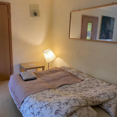 Male Mieszkanie W Centrum Miasta Bezplatny Parking Apartamento